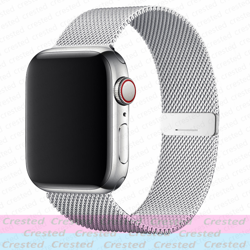 애플워치용 마그네틱 루프 스트랩 밴드 46mm 44mm - Milanese Loop Magnetic 리뷰 및 가격