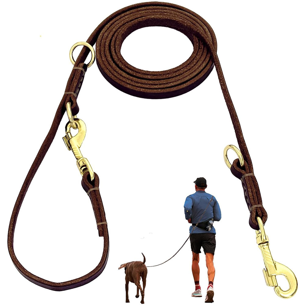 다기능 가죽 개줄 핸즈프리 러닝 리드 천연 가죽 이중  - Leather Strap Quick Release 리뷰 및 가격